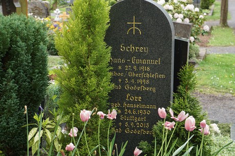 Bad Godesberg